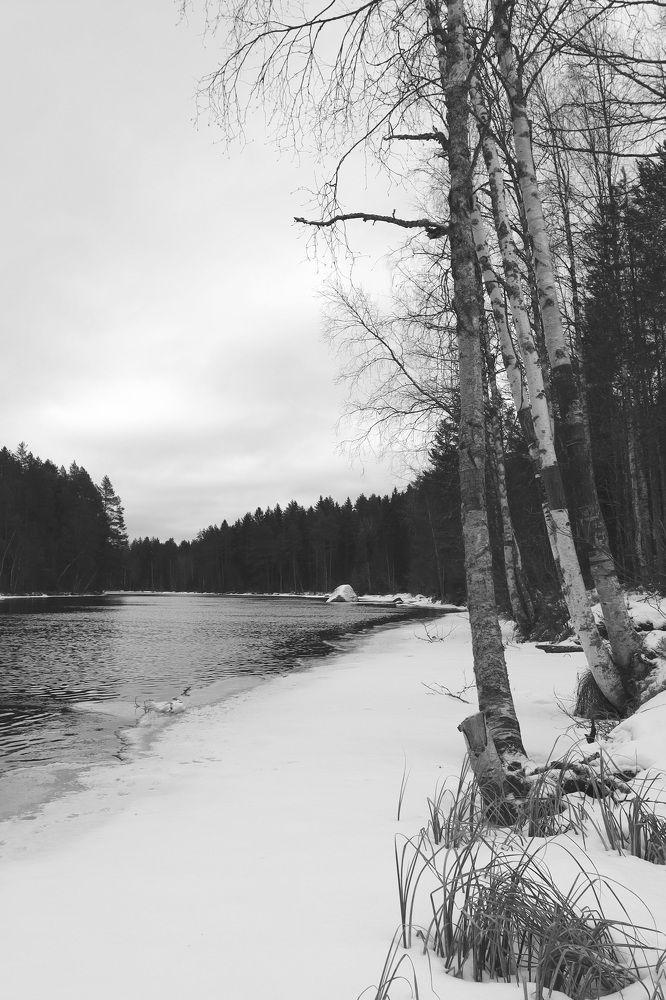 Фотография автора Колосова Елена