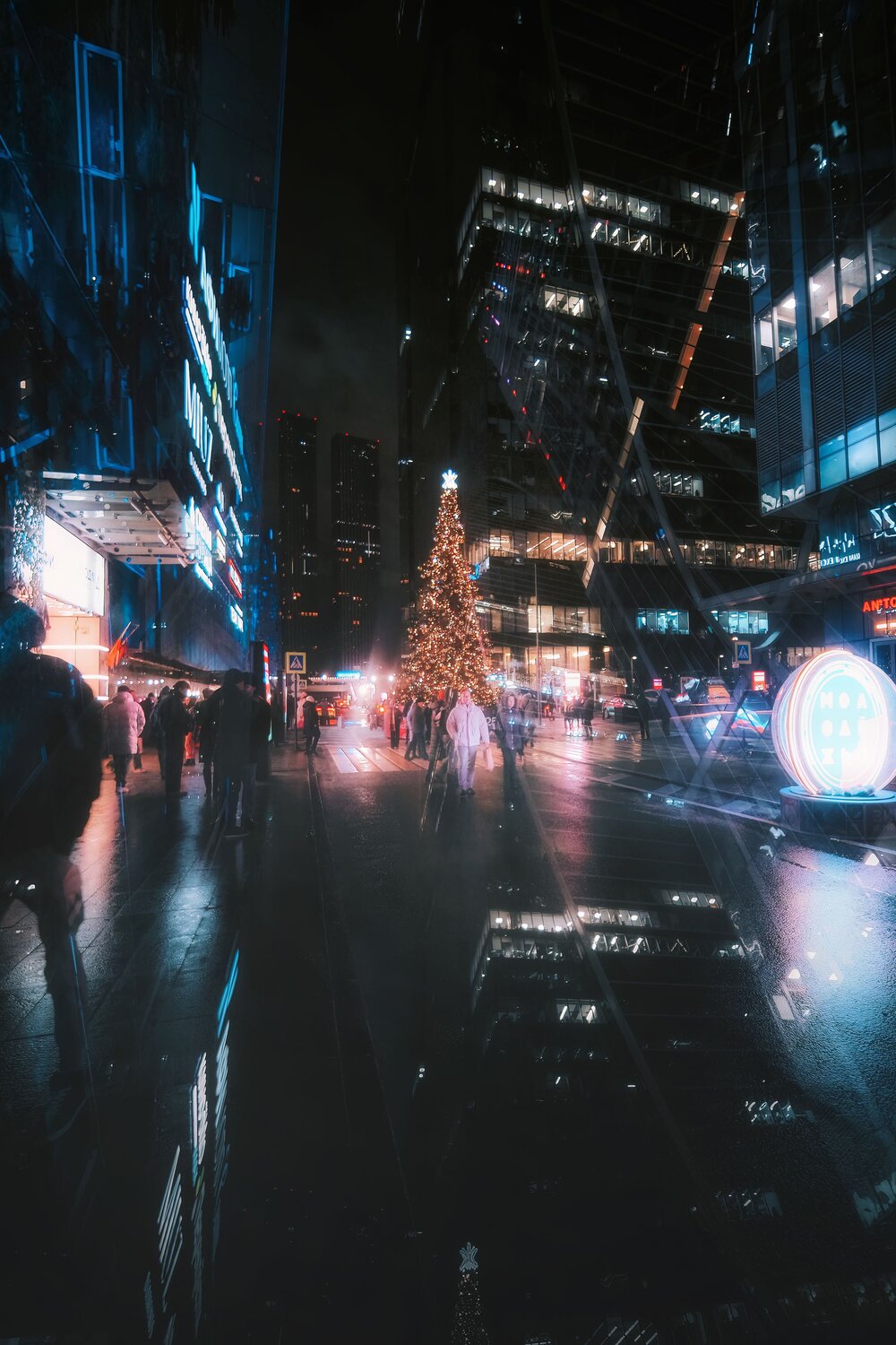 Photo #11636021
