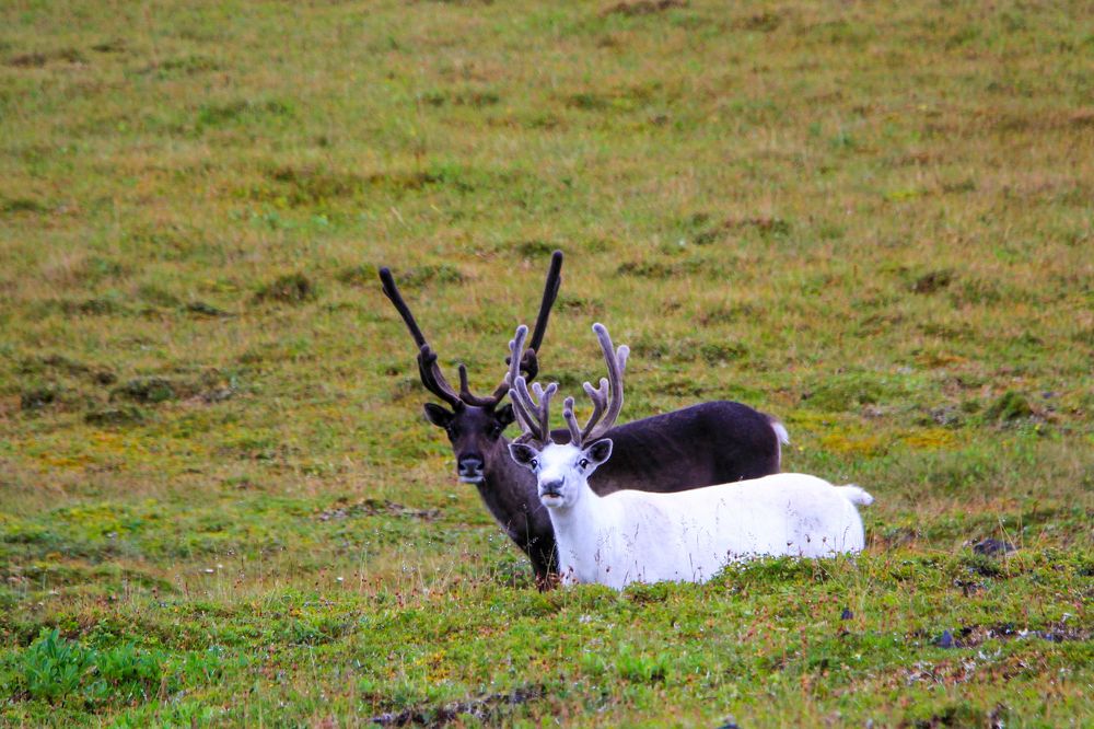 Фотография автора Olga Mamadzanova