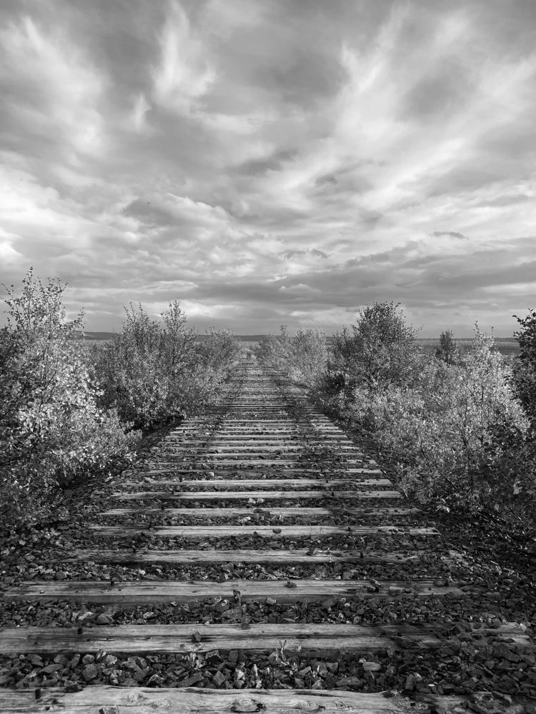 Заброшенная дорога