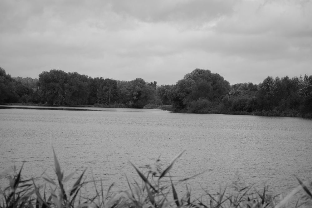 Photograph by Михаил Трусов