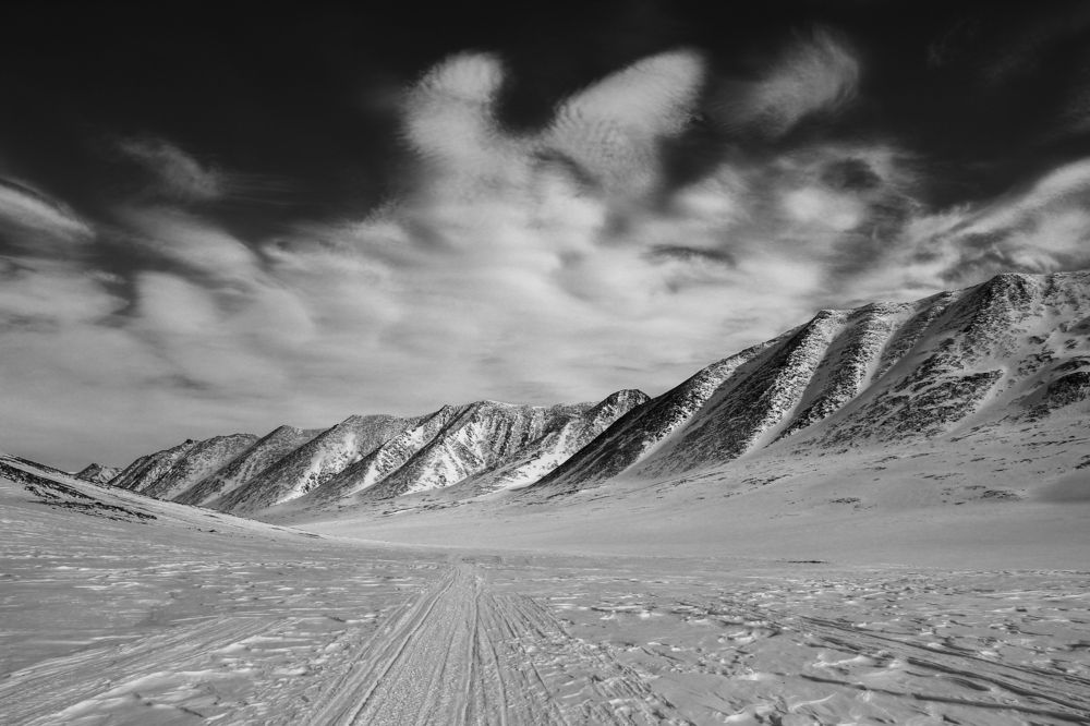 Фотография автора Olga Mamadzanova