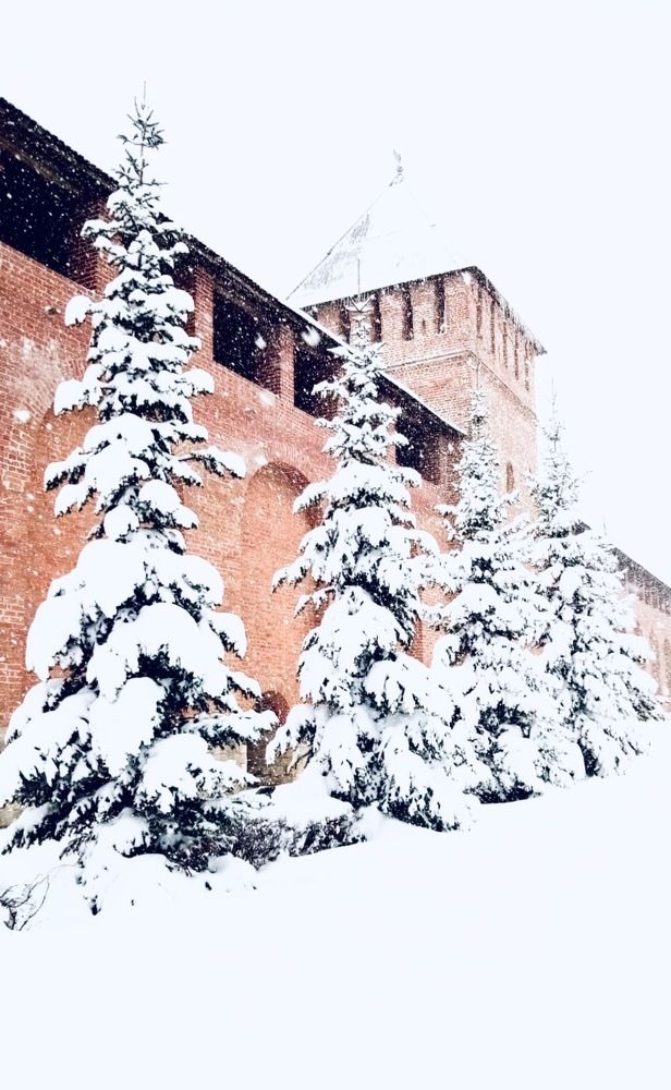 Photograph by Татьяна Мустафина