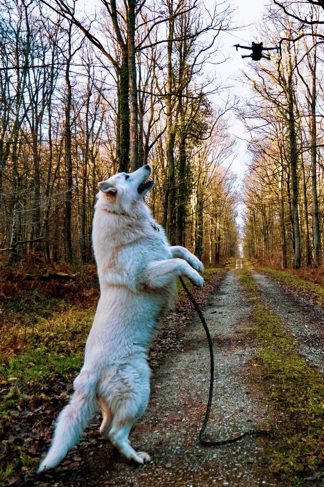 Фотография автора Emi D