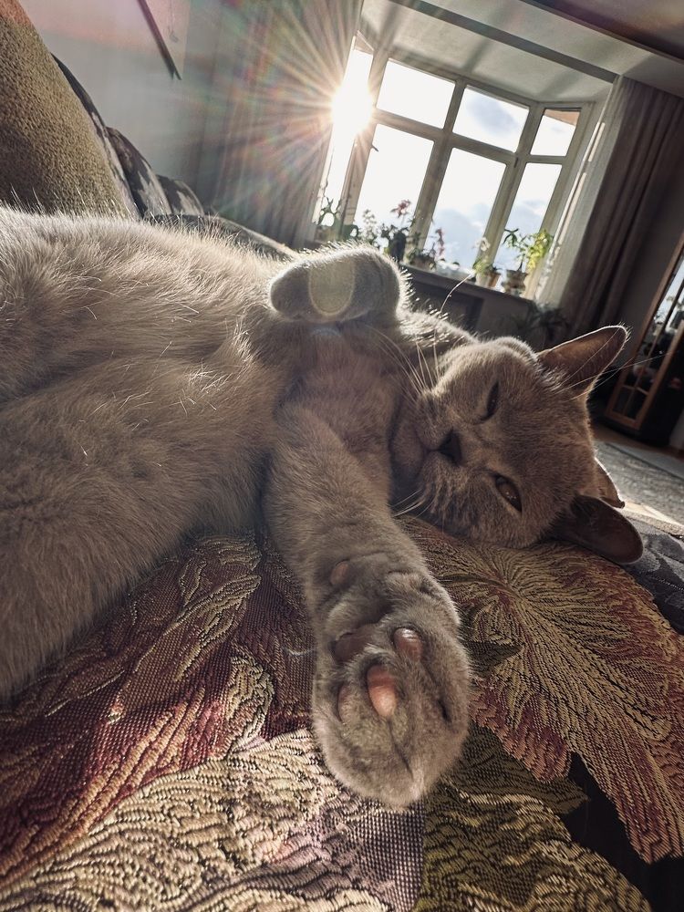 Photograph by Светлана Ионова