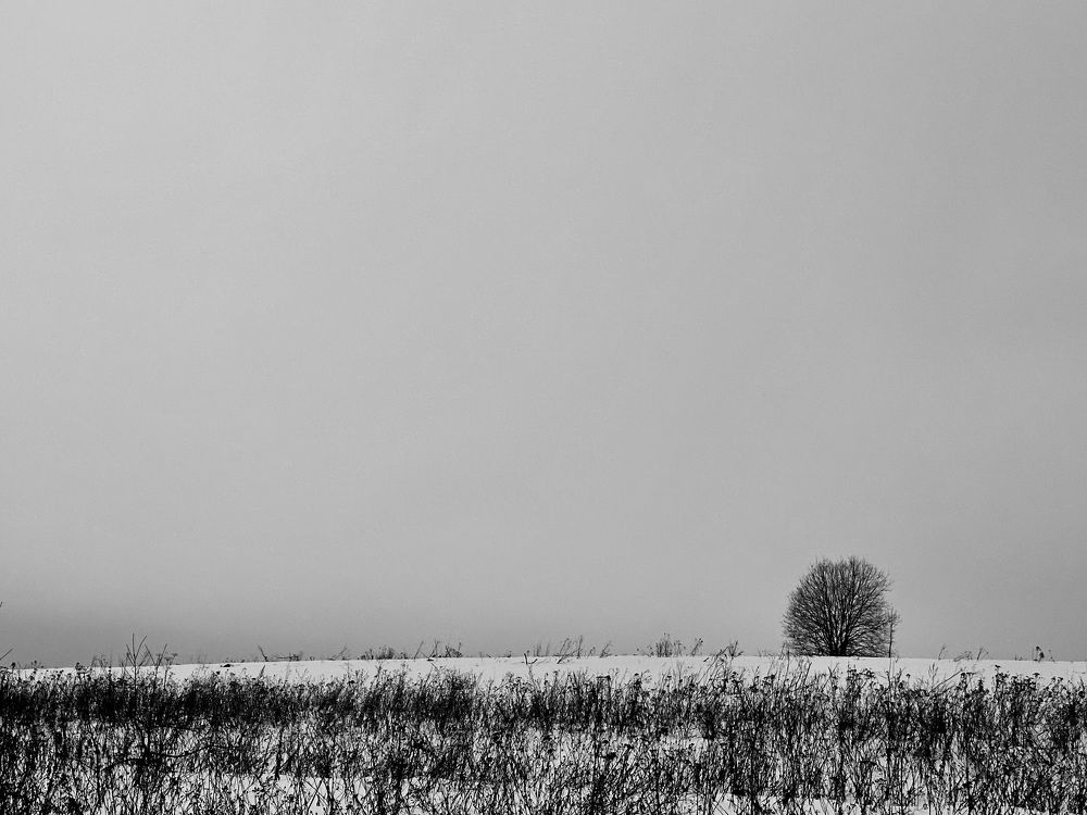 Photograph by Наталья Сережко