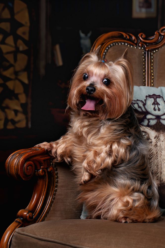 Photograph by Наталья Матюхина