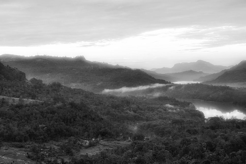 Фотография автора Евгения Никишина