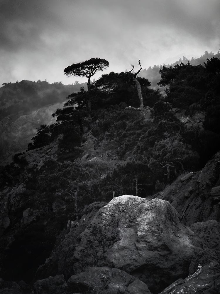 Photograph by Маргарита Смоленская