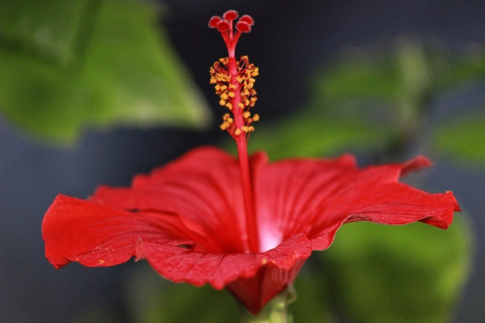 Photograph by Елена Ибрагимова