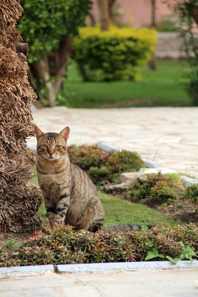 Photograph by Герасимов Игорь