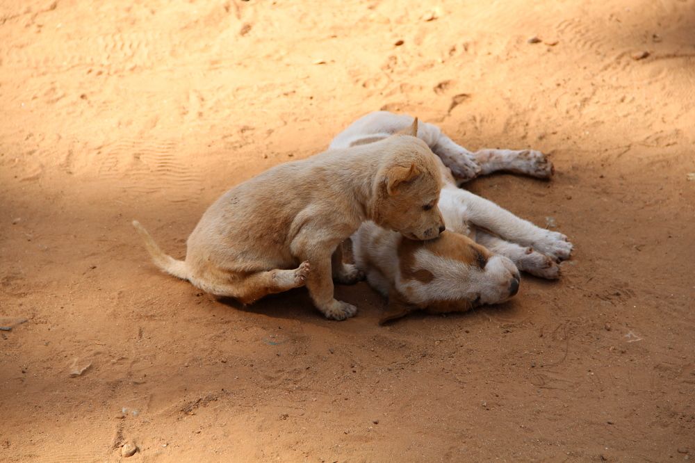 Photograph by Герасимов Игорь