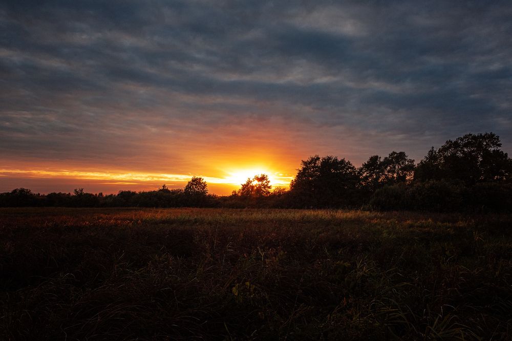 Фотография автора Александр Вячеславович
