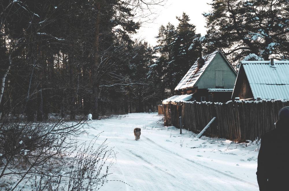 Photograph by Ольга Моисеева