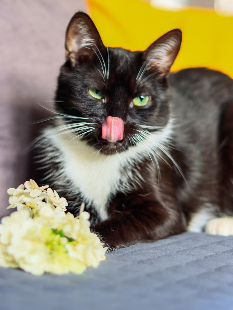 Photograph by Irina Sorokoletova