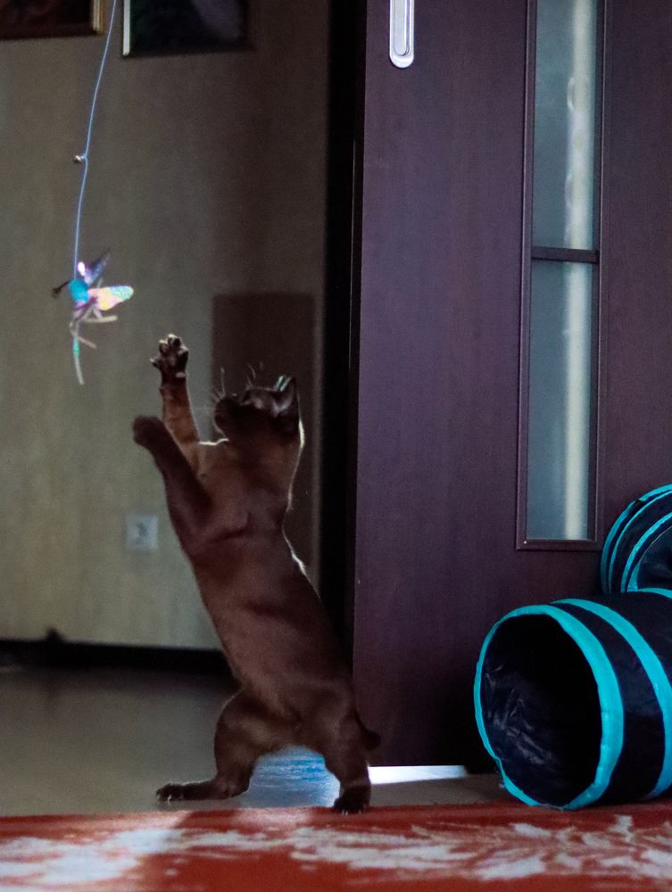 Photograph by Irina Sorokoletova