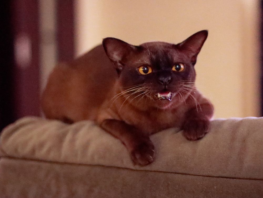 Photograph by Irina Sorokoletova