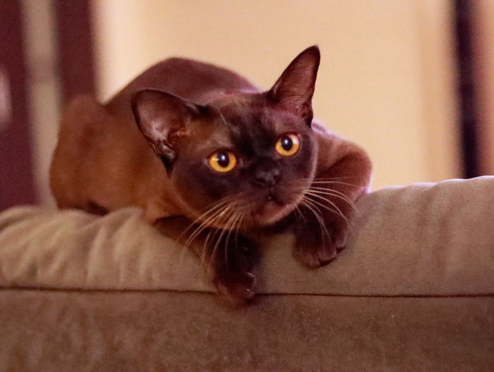 Photograph by Irina Sorokoletova