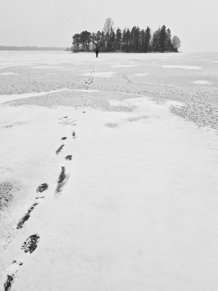 Фотография автора Колосова Елена