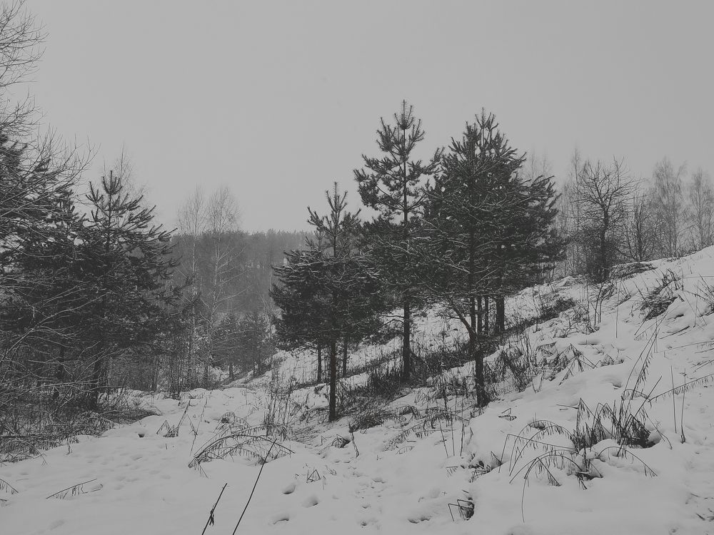 Photograph by Александр Гришин