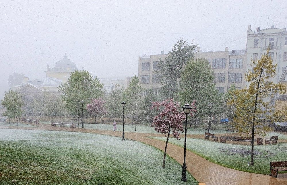 Photograph by Яна Галимуллина