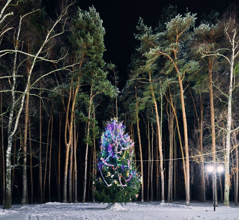 Photograph by Сергей Ветошкин