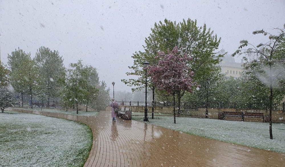 Photograph by Яна Галимуллина