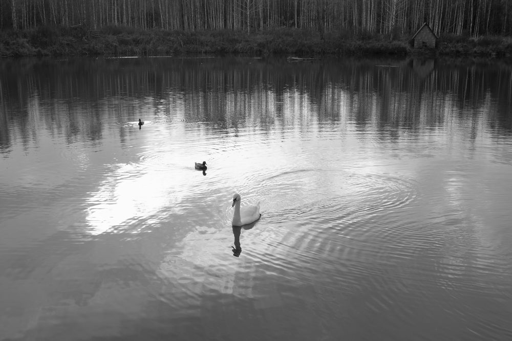 Photograph by Светлана Зайкова