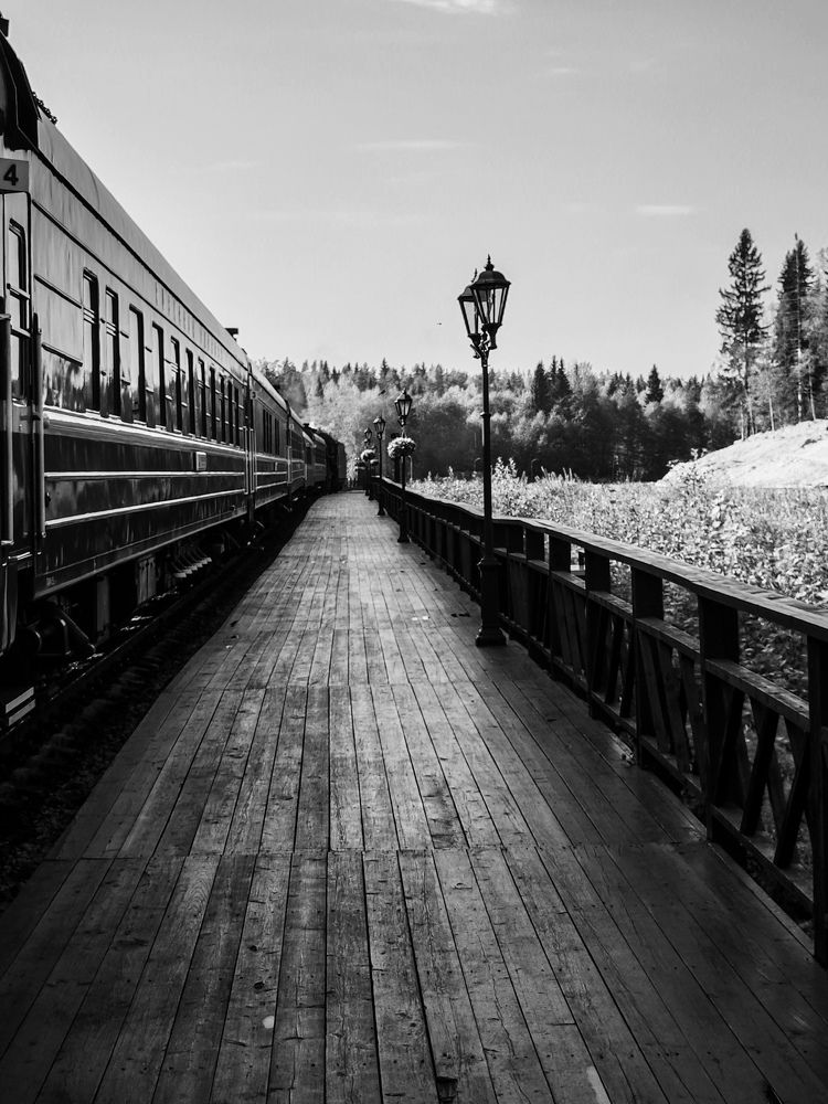 Photo #11636376