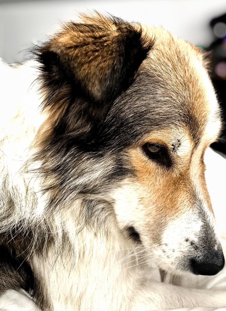 Photograph by DANIELA ROSSI