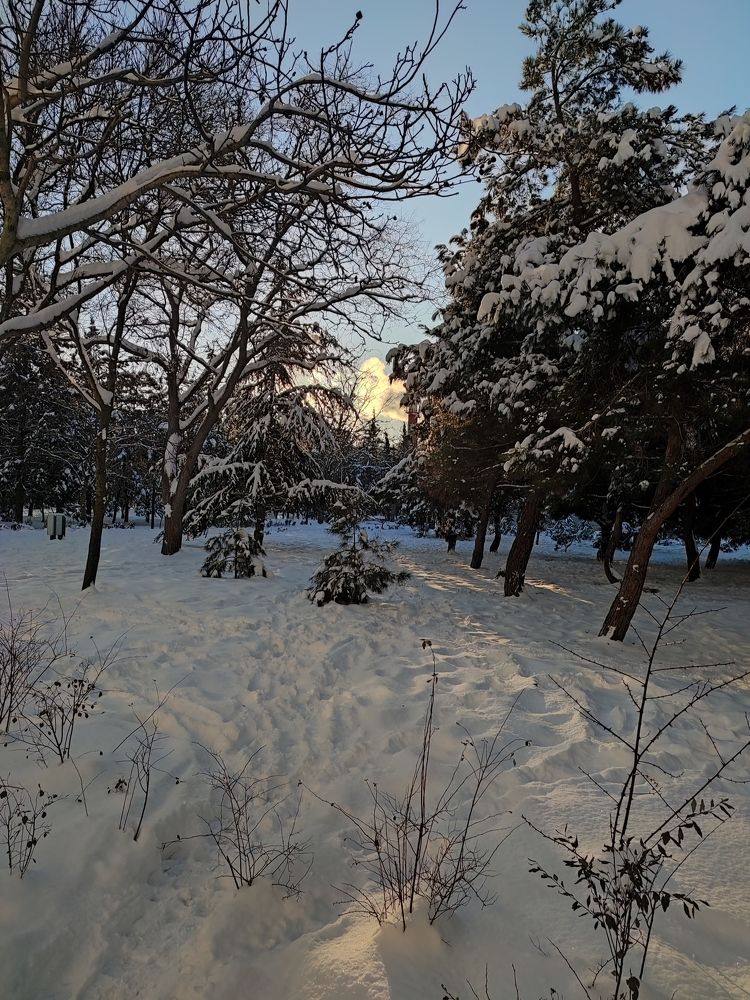 Photograph by Анна Цепкова