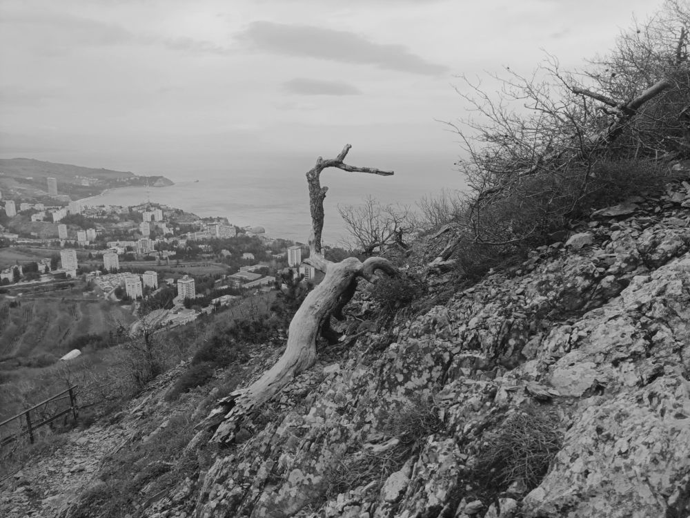 Photograph by Светлана Кучеренко