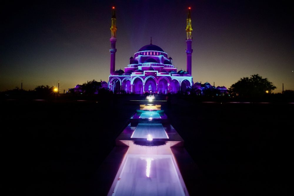 Фотография автора Sarrah Yehia