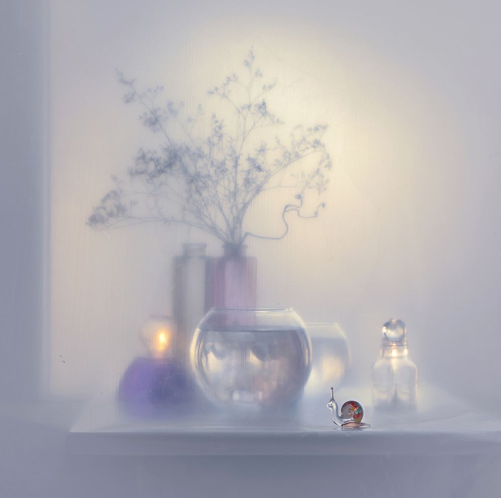 Фотография автора Шипунова Ирина