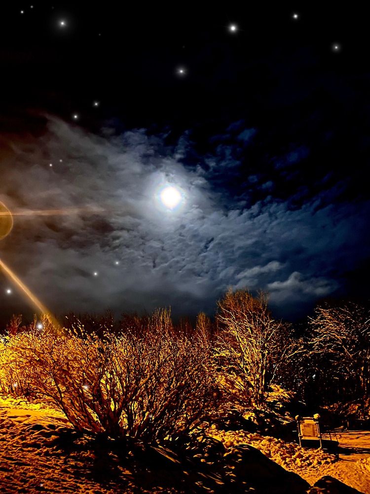 Photograph by Ольга Желтова