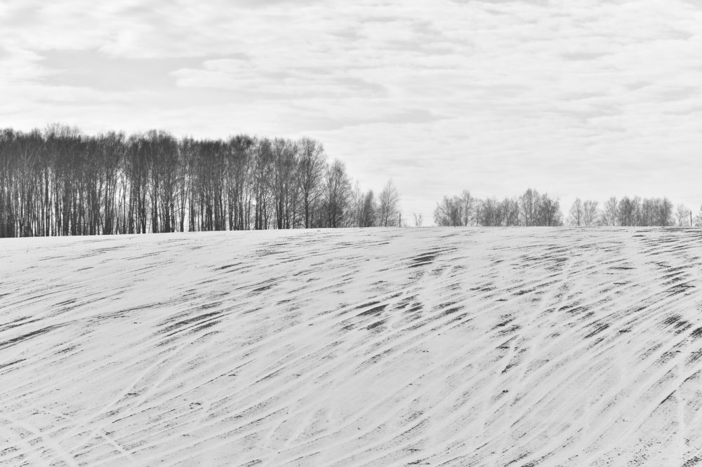 Photograph by Николай Абакумов