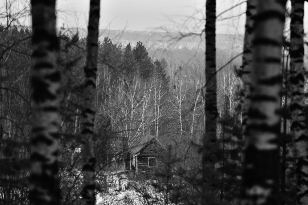 Photograph by Николай Абакумов