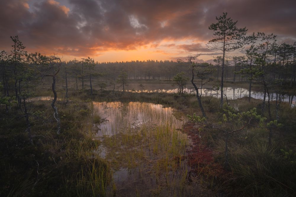 Фотография автора Mikhail Ioannisian
