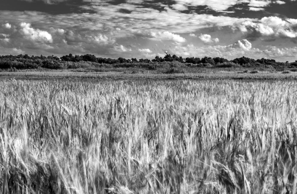 Photograph by Deryl Varela Cienfuegos