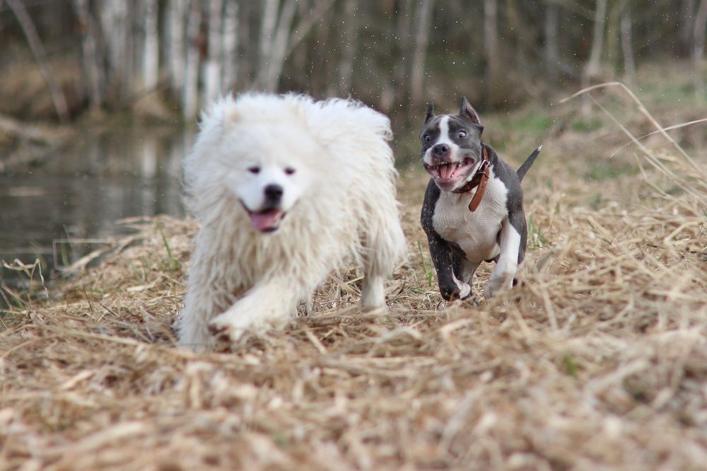 Photograph by Дарья Чистякова