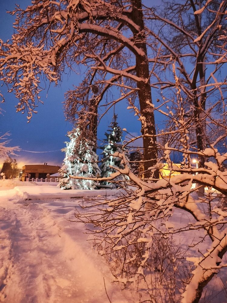 Photograph by Людмила Ваганова