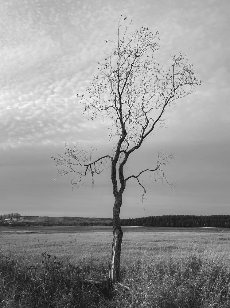 Photograph by Anna Chub