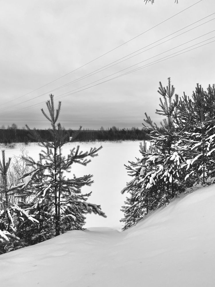 Photograph by Anna Chub