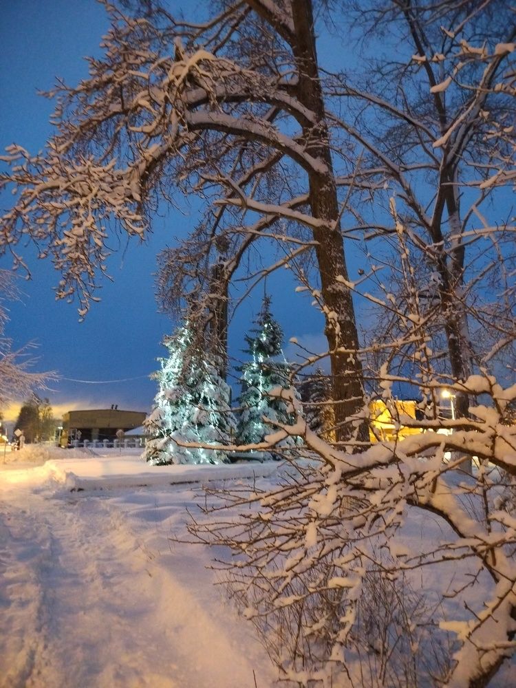 Photograph by Людмила Ваганова