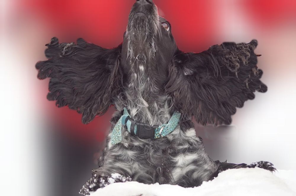 Photograph by Светлана Логинова