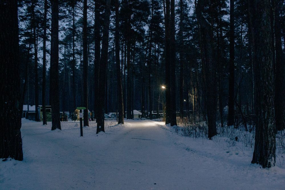 Photograph by Елизавета Колесникова