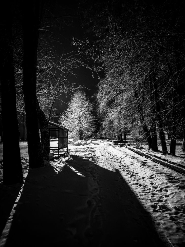 Photograph by Ершов Сергей