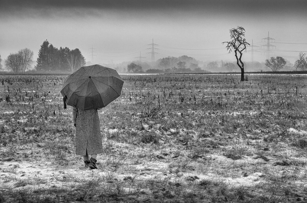 Photograph by Mostafa Mohammad Beigi