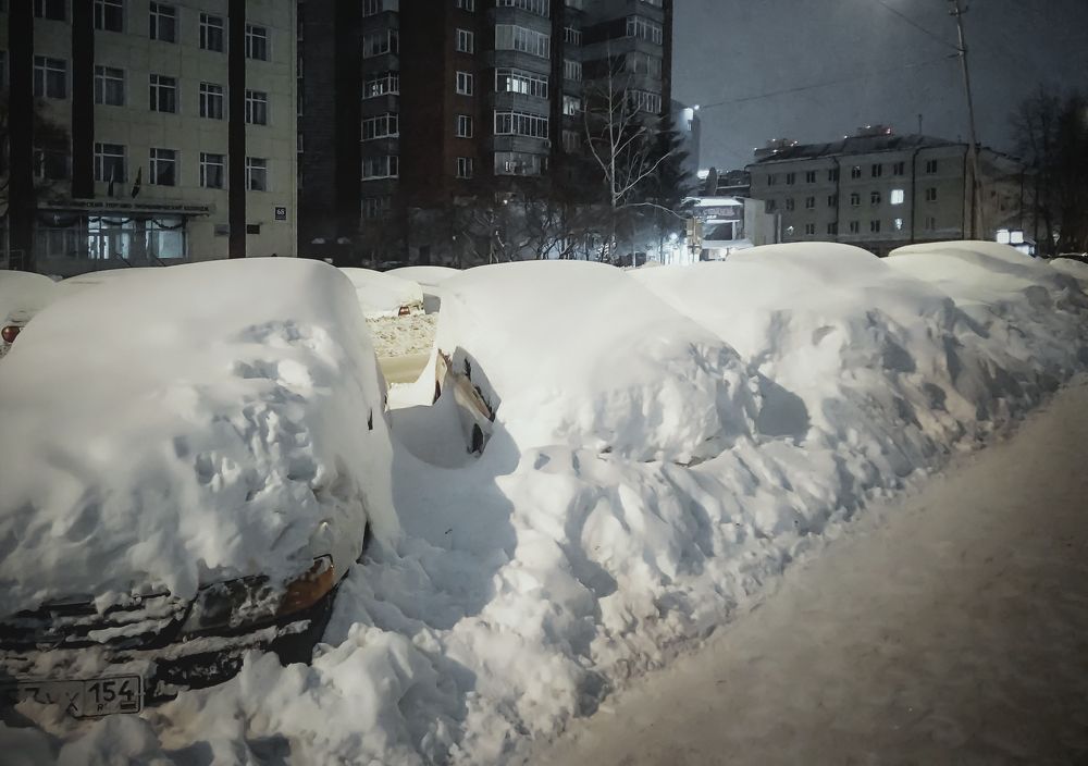 "Подснежники"