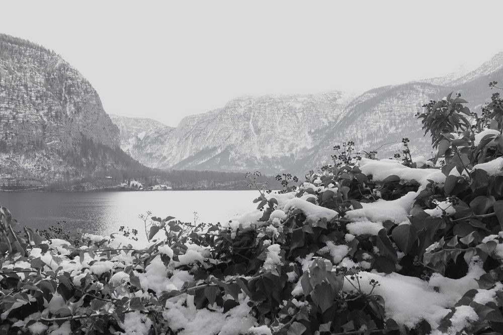 Photograph by jelena konickaja